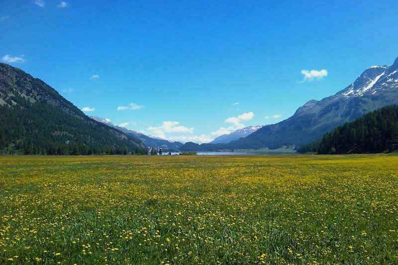 005_2012-06-17_11.17.32.jpg (46927 Byte)