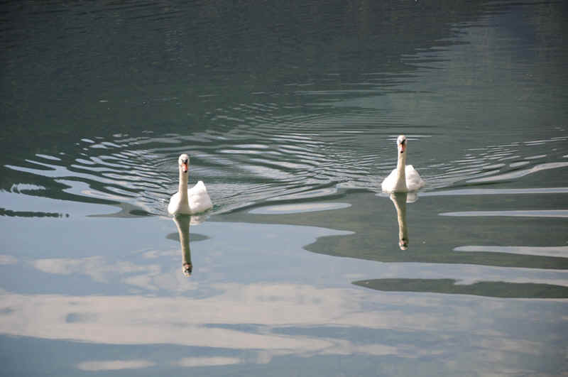 DSC_0133.JPG (184536 Byte)