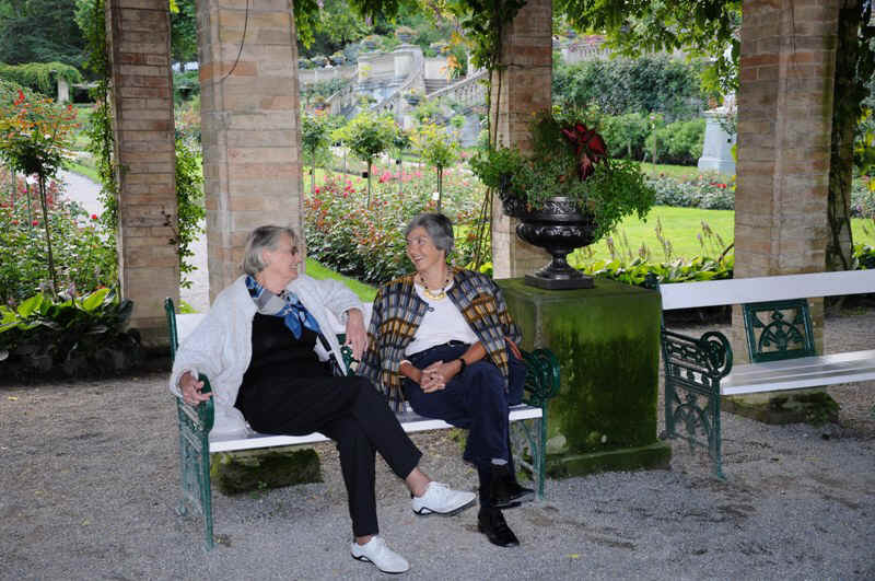 DSC_0539.JPG (194930 Byte)