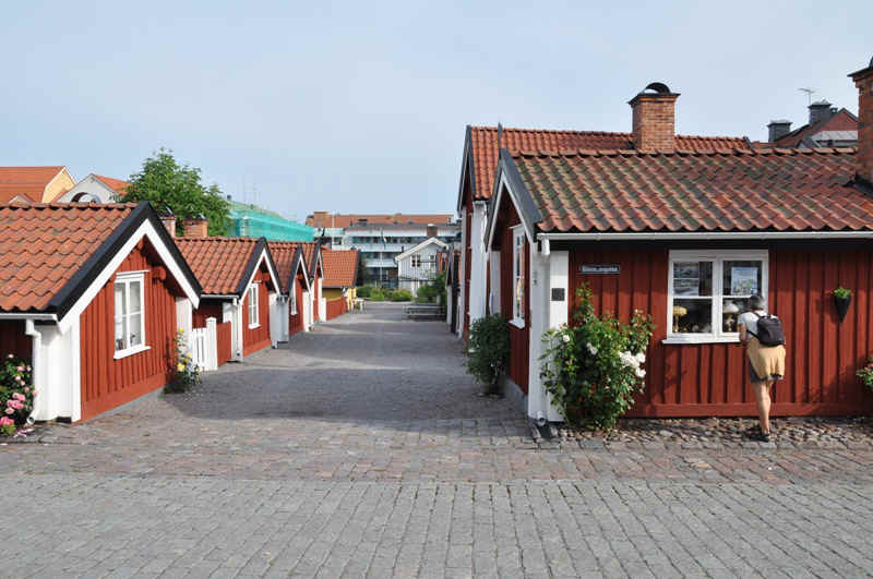 DSC_1321.JPG (194213 Byte)