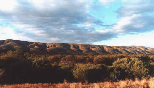 Westmacd.jpg (72508 bytes)